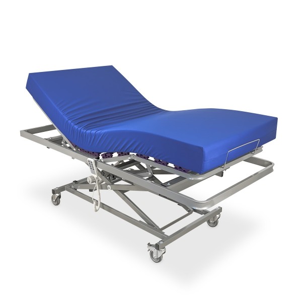 Cama Eléctrica Carro Elevador Articulada + Colchón Sanitario